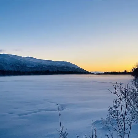 Arctic Escape In Apartment Tromso